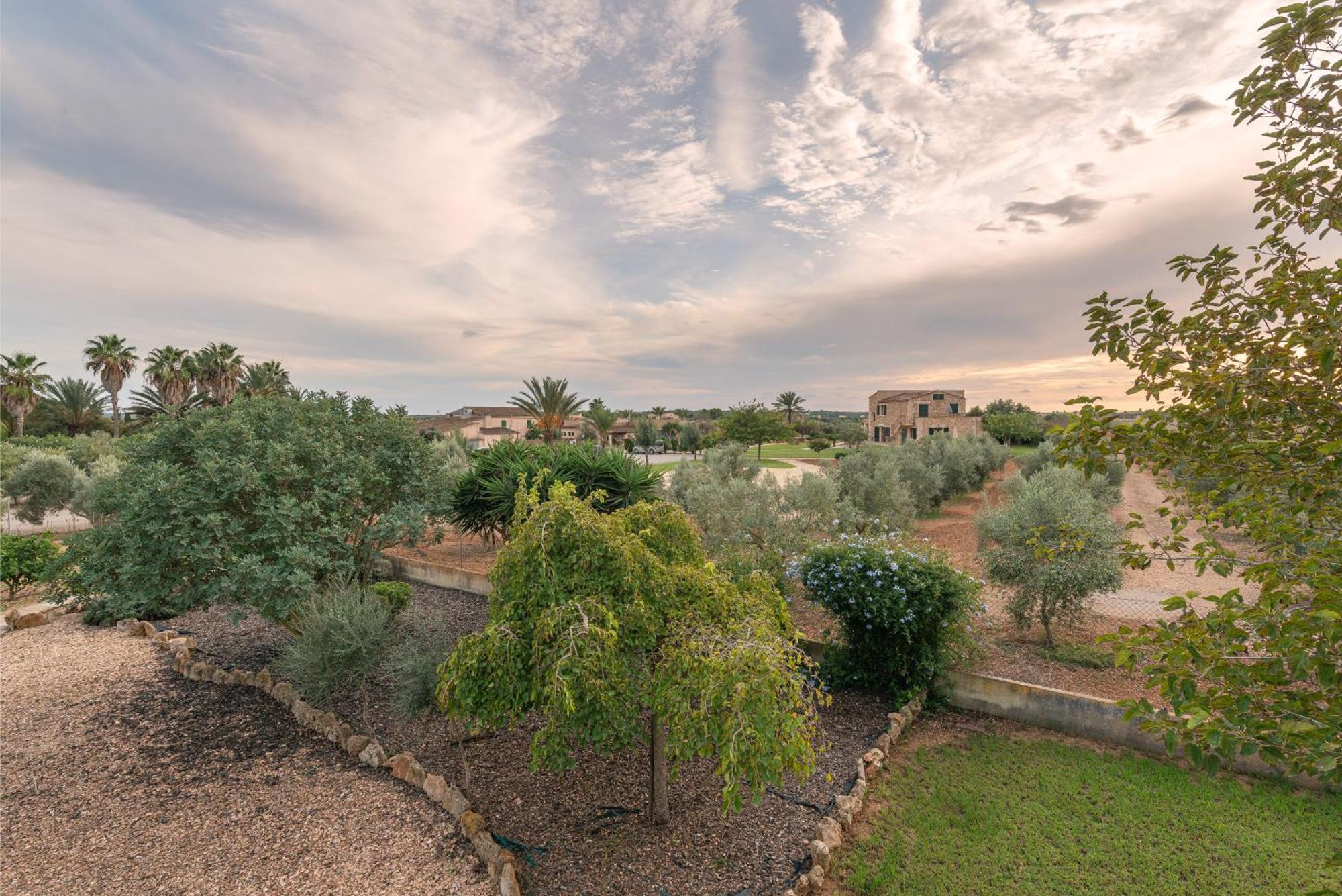 Finca Hotel Can Canals & Spa Campos  Eksteriør billede